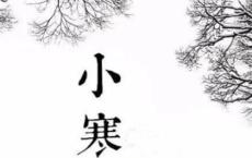 青春四季 梦幻般美好向往