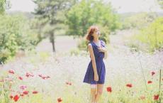 伤感诗句、伤感诗词、唯美伤感的句子