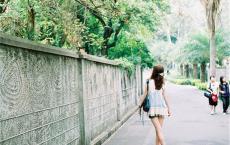 关于麻雀的谚语、民谚、俗语