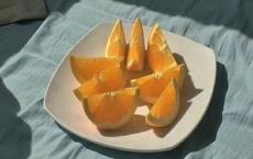 孝顺父母作文