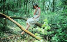 教师节歌曲——《长大后我就成了你》