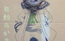 回眸作文