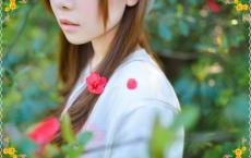 有关乌鸦的谚语、民谚