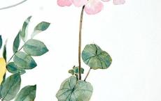 推销自拍神器的宣传语