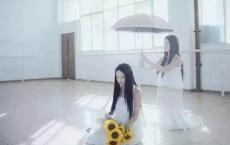 识别中药药物的谚语、民谚