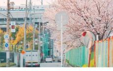 幼儿早教必学的谚语、民谚
