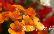上善若水任方圆