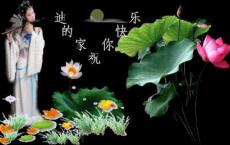 中小学教师教书育人的教育格言