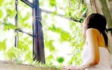 照明企业口号