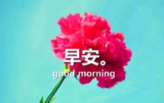 律所广告牌简短标语