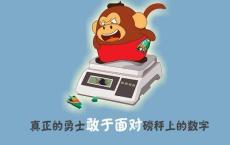 若无相欠，怎会遇见