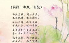 雅思口语考试拿高分必学的英语谚语