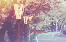 寂寥、伤感的爱情诗《曾经相爱的日子还在昨天的梦里展现》