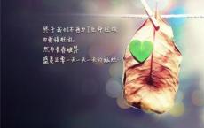 关于贪婪、贪心、利欲熏心的谚语、民谚