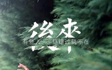写景的作文300字
