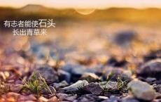 家用透析机推销词