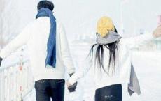 关于无知与知识、学识的谚语