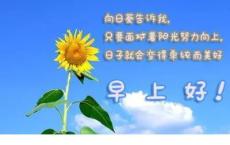 我最喜欢的电视节目