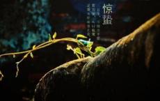知识谚语大全：关于知识的世界谚语、民谚