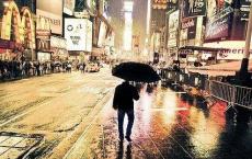 人物品性谚语大全之关于正直的谚语、民谚、俗语