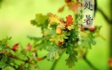 面膜推荐语