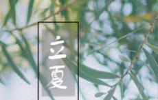 雨中即景作文