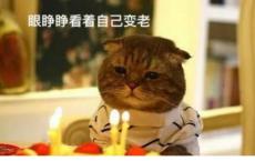我的爸爸作文300字
