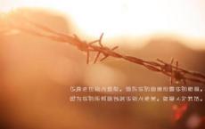 宣传美瞳的广告词