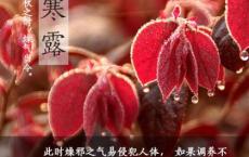 “转变作风提升能力”我最喜爱的座右铭