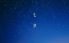 法治建设满意度宣传标语